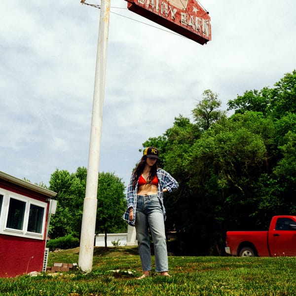 Waxahatchee – Tigers Blood cover image